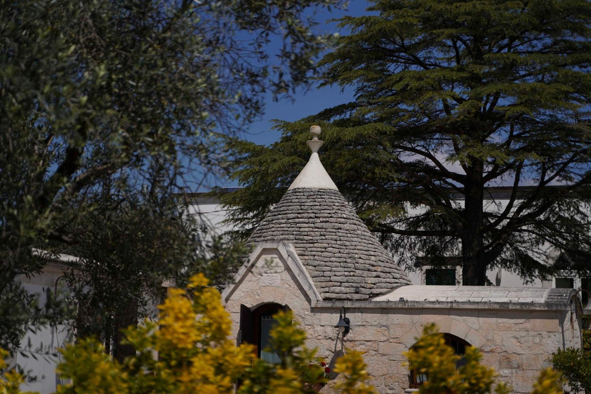 マルティナ・フランカ Trullo Leoneヴィラ エクステリア 写真